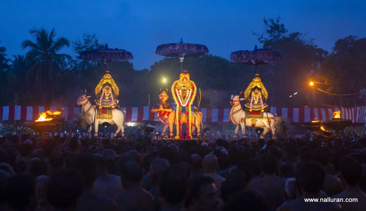 NalluranFestival_20191022145611 NalluranFestival_20191022145611