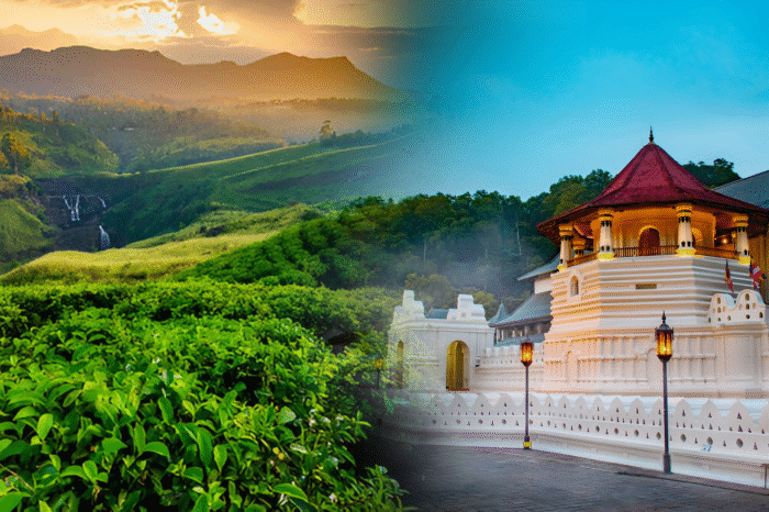 Kandy & Nuwara Eliya