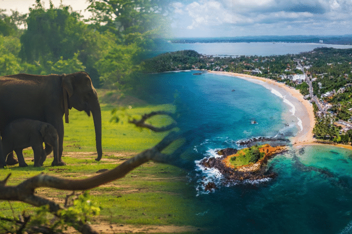 Mirissa, Udawalawa & Galle